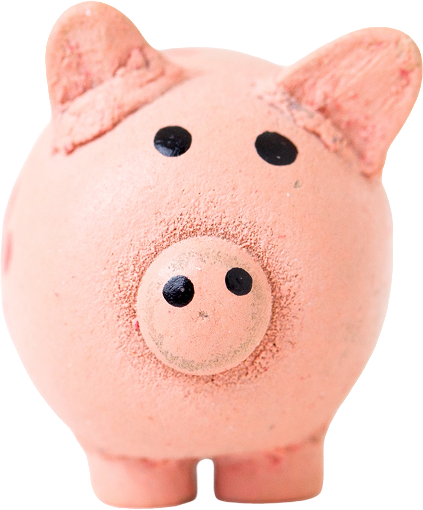 Piggy Bank Toy